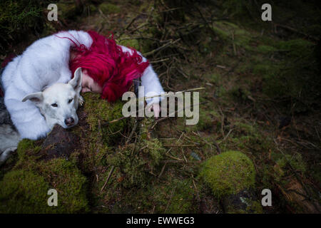 Der Stoff aus dem Träume und Alpträume: ein Junge rote kurzhaarige kaukasischen Frau Mädchen allein in einem dunklen Kiefernwald mit einem weißen Wolf-ähnlichen Hund schlafen Stockfoto