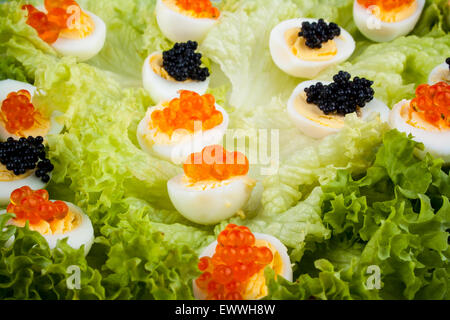 Wachteleier serviert mit Lachs, Forelle und Stör Kaviar, Ansicht von oben Stockfoto