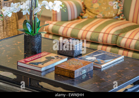 Asiatische Couchtisch Anzeige von japanischen Kunst Bücher und White Orchid Stockfoto