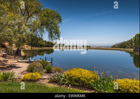 Malerische Aussicht auf spiegelglatte See in Napa Valley Stockfoto