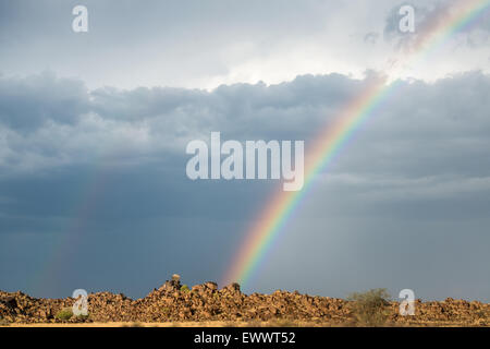 Keetmanshoop, Namibia, Afrika - Regenbogen in den Himmel über trockene Landschaft Stockfoto