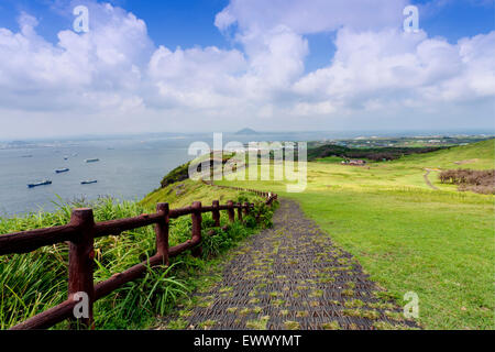 Landschaft der Insel Jeju, Südkorea Stockfoto