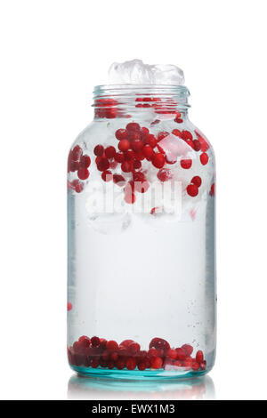 Cranberry Detox Wasser in ein Glas. Gesunden Eiswasser mit infundiert Cranberry, Preiselbeere und Zitrone Stockfoto