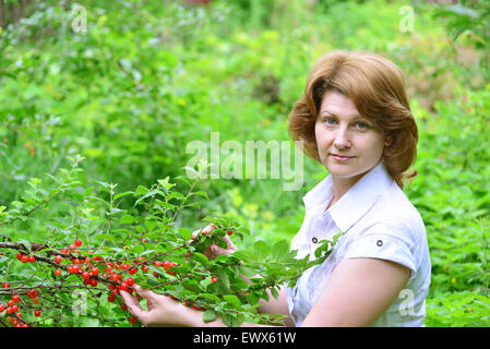 Eine Frau erntet Kirschen im Garten Stockfoto