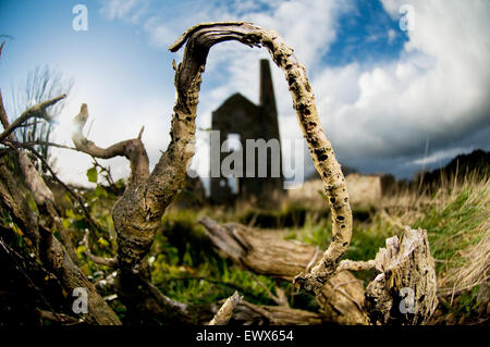 Alte Zinn-Minen in Redruth, Cornwall Stockfoto