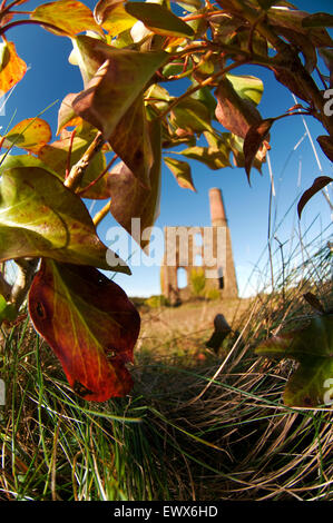 Alte Zinn-Minen in Redruth, Cornwall Stockfoto