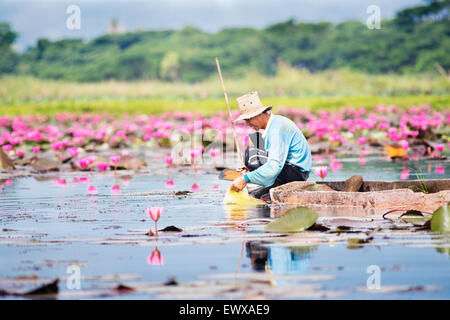 Mann Angeln auf Phayao See in Thailand, Asien. Stockfoto