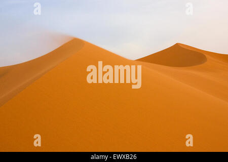 Sahara-Sand-Dünen Stockfoto