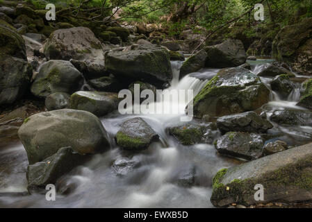 Kaskaden entlang der Aira-Beck Stockfoto