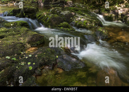 Kaskaden entlang der Aira-Beck Stockfoto