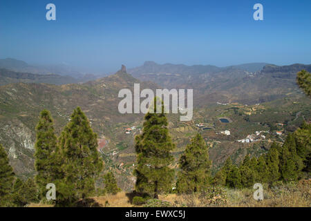 Gran Canaria, kanarische Kiefern, Caldera de Tejeda und Roque Bentayga Stockfoto