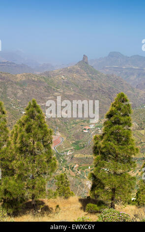 Gran Canaria, kanarische Kiefern, Caldera de Tejeda und Roque Bentayga Stockfoto