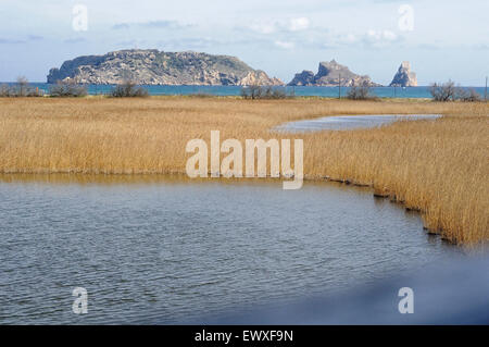 Ansicht der Medas Inseln (Illes Medes) im Montgrí, Medes-Inseln und Baix Ter Naturpark. Girona. Katalonien. Spanien. Stockfoto