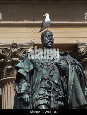 Eine Möwe sitzt auf den Kopf einer Statue von Edward V11 außerhalb des Victoria Zimmer in Bristol. Stockfoto