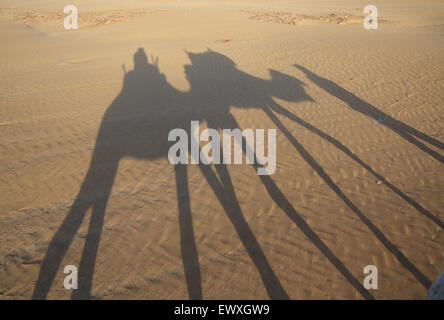 Schatten auf dem Sand der Sonnenuntergang Kamel reiten in Essaouira, Marokko, Nordafrika Stockfoto