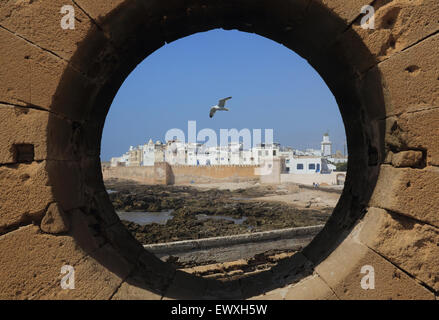 Blick von der Skala du Port von Möwen fliegen über Essaouira an der windigen Atlantikküste, in Marokko, Nordafrika Stockfoto