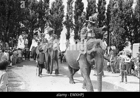 Billy Smart Zirkus, sobald ein regelmäßiger Blick auf Hügeln Wiese, Lesung gemacht ein dramatisches Schauspiel als seine größte Teilnehmer mit dem Zug ankamen. Ihre Elefanten-Interpreten im August 1970 an General Reading Station angekommen und ihren Weg bis Station Hill vorgeführt, Stockfoto