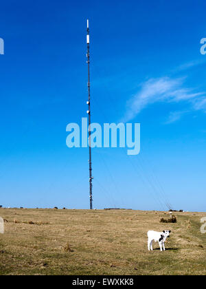 Mast in Caradon Hill auf Bodmin Moor, Cornwall. Stockfoto