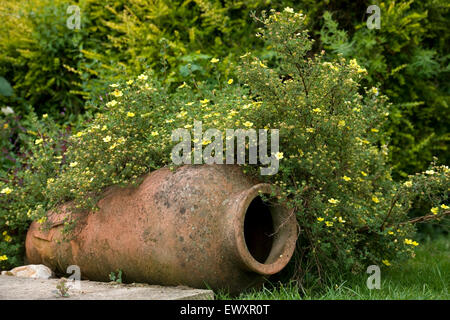 Gartenornament griechische Urne Stockfoto