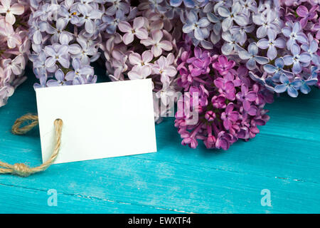 Postkarte mit prächtigen lila Blumen Stockfoto