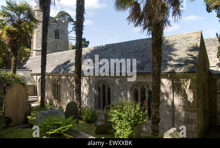 Historische Kirche inmitten von subtropischen Pflanzen, St Just in Roseland, Cornwall, England, UK Stockfoto