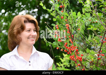 Eine Frau erntet Kirschen im Garten Stockfoto