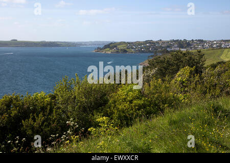 Blick auf das Meer und Wildblumen Landschaft am Zone Punkt, am Ende der Halbinsel Roseland, Cornwall, England, UK Stockfoto