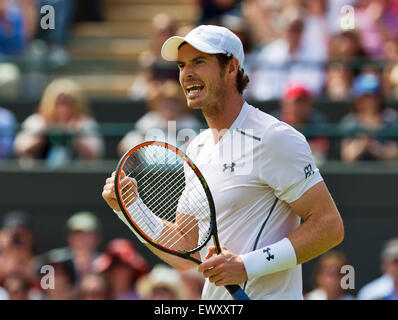 Wimbledon, London, UK. 2. Juli 2015. Tennis, Wimbledon, Andy Murray (GBR) gewinnt sein Match gegen Robin Haase (NED) und jubilates Credit: Henk Koster/Alamy Live News Stockfoto