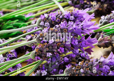Nahaufnahme von einem Haufen von Lavendelblüten auf einem Holztisch Stockfoto