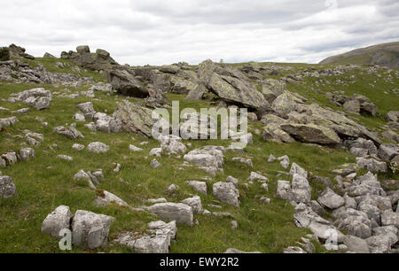 Bei Findlinge eiszeitliche Ablagerungen, Austwick, Yorkshire Dales National Park, England, UK Stockfoto