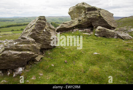 Bei Findlinge eiszeitliche Ablagerungen, Austwick, Yorkshire Dales National Park, England, UK Stockfoto