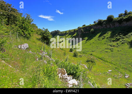 Lathkill Dale trockenes Tal, Peak District National Park, Derbyshire, England, UK. Stockfoto