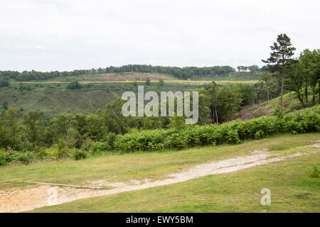 Linie der alten A3, Teufels Punchbowl, Hindhead, Surrey. Die Straße wurde entfernt und die Ökologie des Standortes wird restauriert Stockfoto