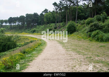 Linie der alten A3, Teufels Punchbowl, Hindhead, Surrey. Die Straße ist umgezogen und die Ökologie des Standortes wird restauriert Stockfoto