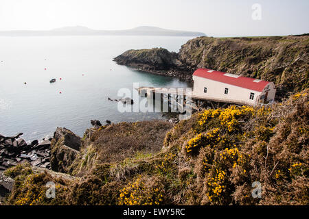 St Justinians Lifeboat Station mit Ramsey Island in Ferne auf Pembrokeshire Coast Path mit Ramsey Island im Hintergrund. Mar Stockfoto