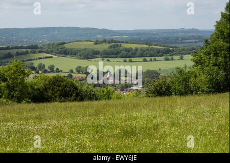 HARTING unten, Teil von der Sussex Downs Bereich der hervorragenden natürlichen Schönheit (AONB), verwaltet vom National Trust. Stockfoto