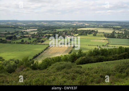 HARTING unten, Teil von der Sussex Downs Bereich der hervorragenden natürlichen Schönheit (AONB), verwaltet vom National Trust. Stockfoto