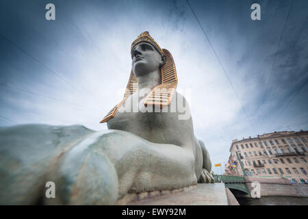 Sphinx montiert in der Nähe der ägyptischen Brücke über den Fluss Fontanka in Sankt Petersburg, Russland Stockfoto