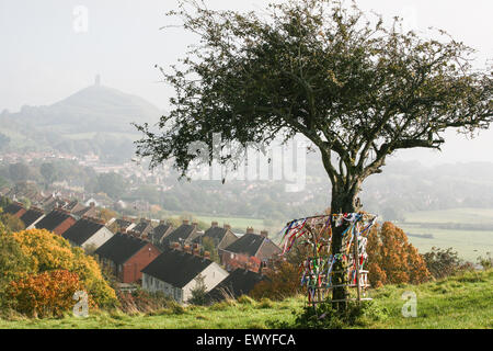 An einem Morgen Oktober tree dem Glastonbury Tor in der Ferne mit St. Michaels-Turm auf der Oberseite und Thorn auf Wearyall Hill abov Stockfoto