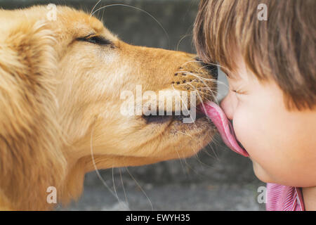 Hund leckt einem jungen Gesicht Stockfoto