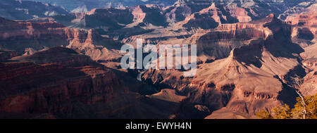 Grand Canyon aus Pima Punkt entlang der Eremit Trail, Arizona, USA Stockfoto