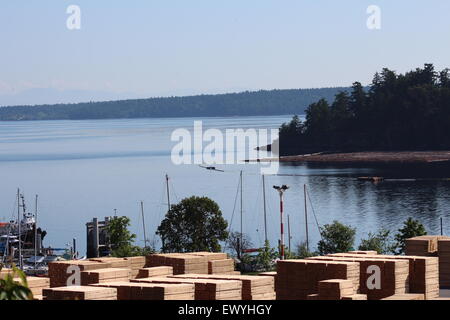 Ideale Kulisse von Bauholz Holzplatz in Kanada British Columbia, schöne Bucht, Seewasser Stockfoto