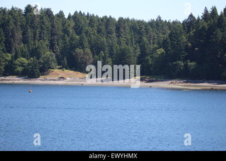 Kanada, whates Orca, Szenen, Boote, Meer, Stockfoto