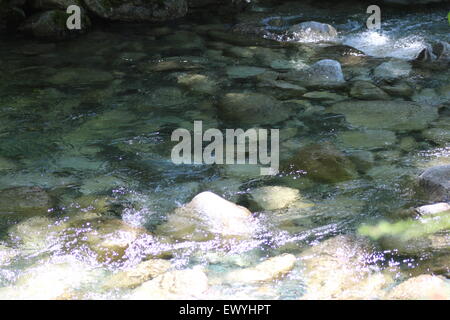 Klarem Wasser Bach über untergetauchten Felsen idealer Hintergrund oder an der Wand Papier. Bachlauf ein Bergbach so ruhig Stockfoto