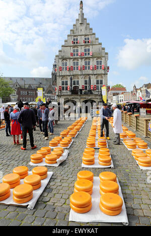 Gouda Käsemarkt findet vor dem Rathaus in Gouda, Niederlande. Stockfoto