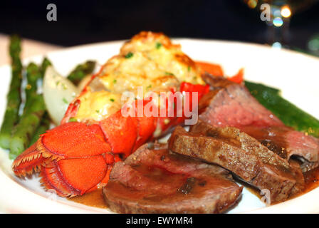 Gourmet-Abendessen im feinen Restaurant mit Hummer Stockfoto