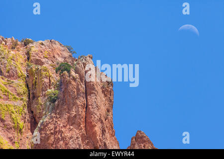 Felsformationen im Cave Creek Canyon, Portal, Arizona Stockfoto