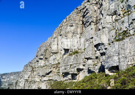 Kletterrouten auf die Steilwand auf den Tafelberg, Kapstadt Stockfoto