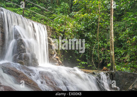 Wasserfall im Regenwald Stockfoto