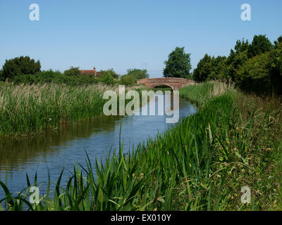 Bridgwater und Taunton Kanal, Somerset, Großbritannien Stockfoto